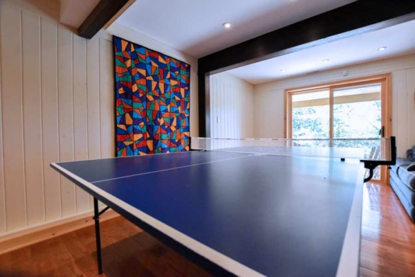 Ping pong table